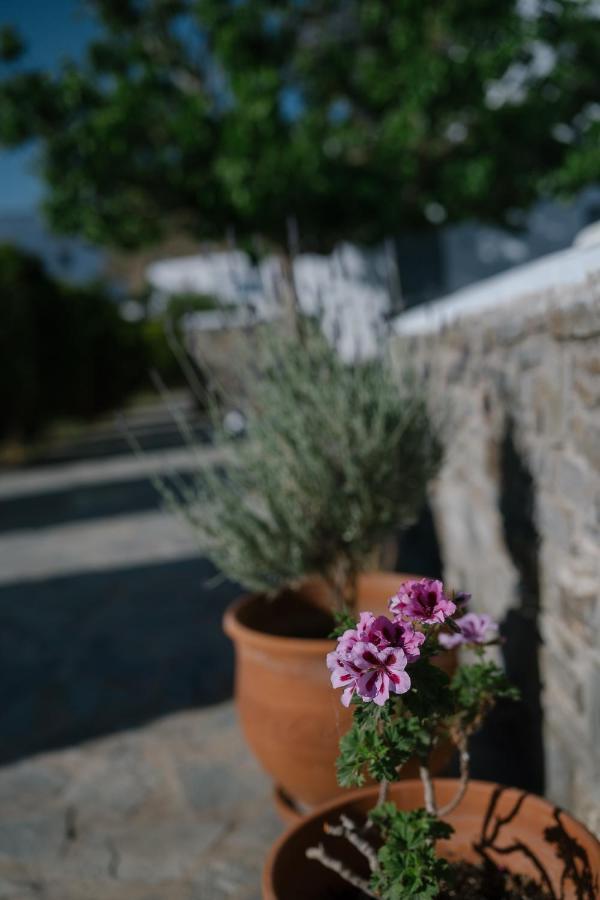 Indigo Studios Livadi (Serifos) Exterior foto